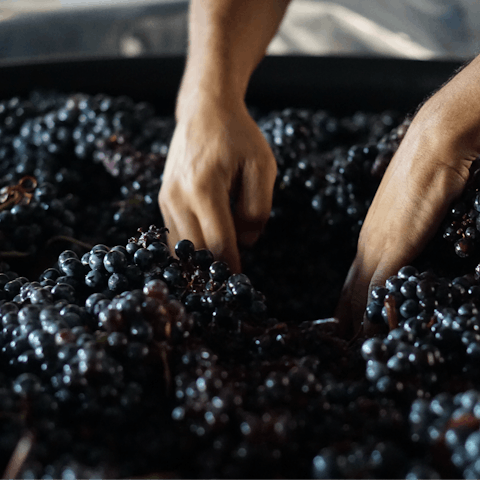 Enjoy a wine tasting at one of the local wineries, there's a few within a short drive