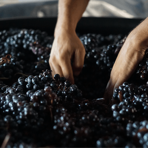 Enjoy a wine tasting at one of the local wineries, there's a few within a short drive