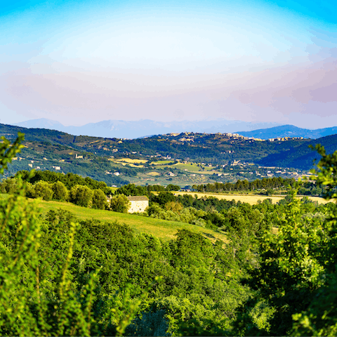 Explore the vineyards and historic hamlets of the Umbrian countryside
