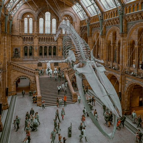 Walk ten minutes to the iconic Natural History Museum