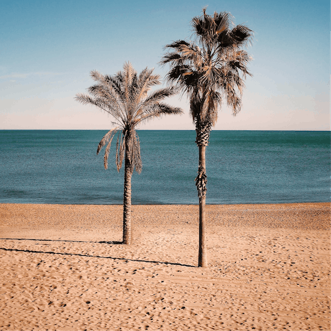 Look forward to basking in the sunshine on Nova Mar Bella Beach