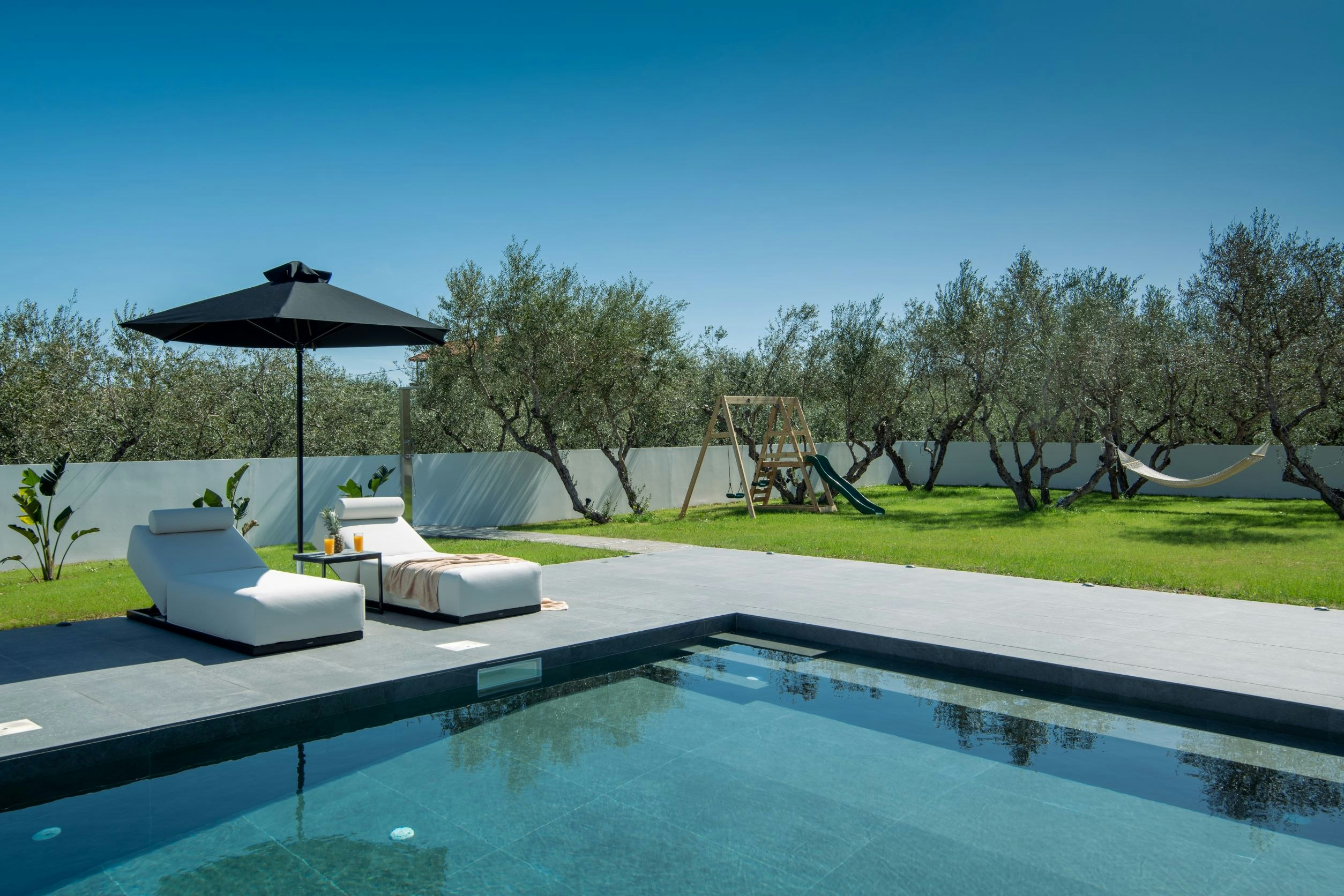 Beyond the Olive Trees