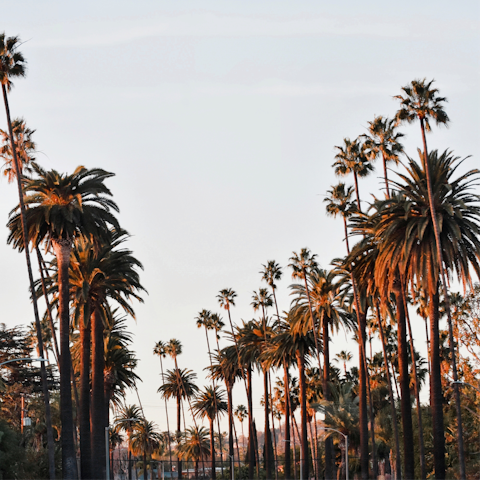 Drive down to Beverly Hills and indulge yourself in luxury retail therapy