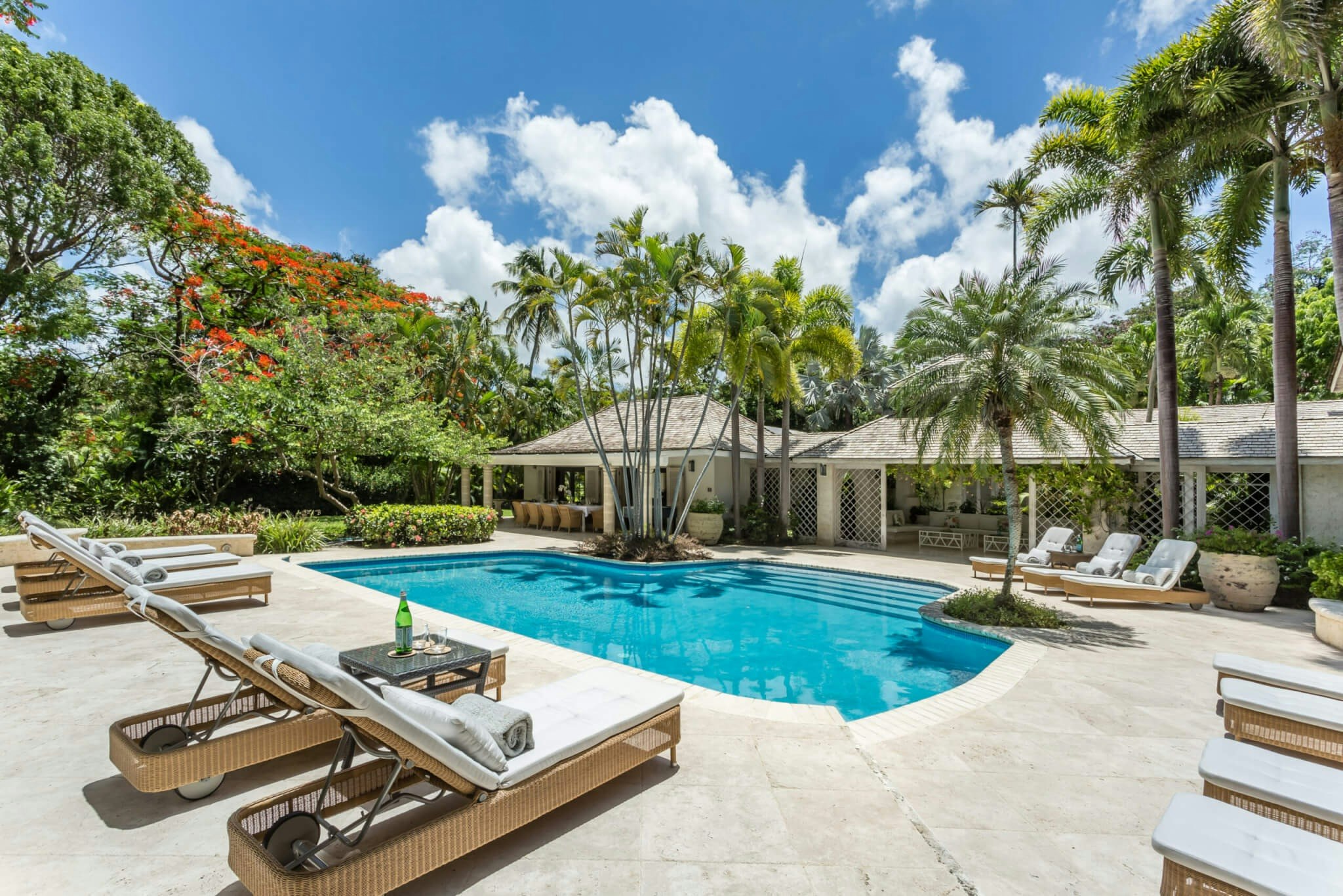 Going Tropical