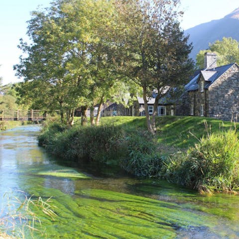 Stroll along the path of the babbling stream flowing beside your cottage