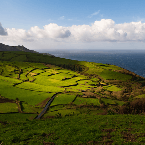 Explore the dramatic landscape of Pico Island