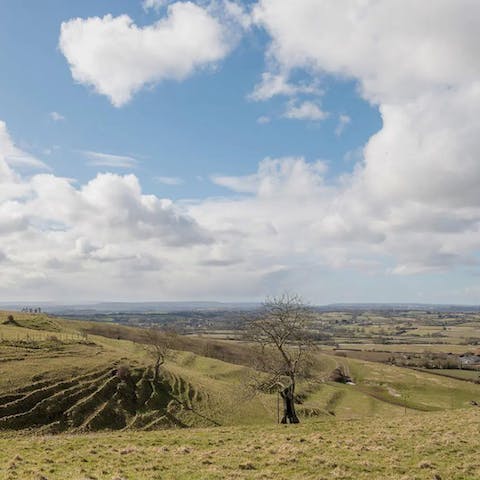 Roam the 500-acre grounds, admiring the views towards Bristol, the River Severn and the Mendips