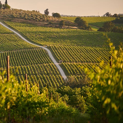 Explore the Riserva Naturale Lucciola Bella, a short drive away