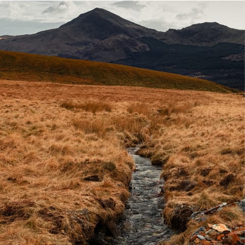Hike to the top of Mount Snowdon, a half-hour drive away