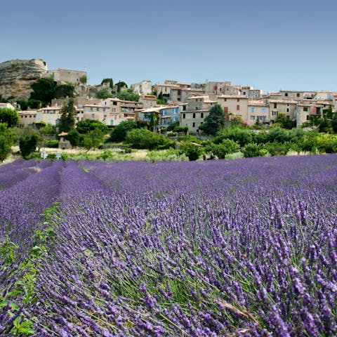 Stay on the Côte d'Azur and visit the lavender fields of nearby Grasse