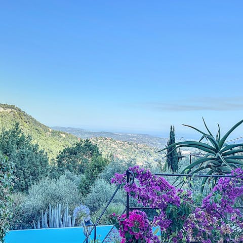 Admire the stunning views of the countryside, Cannes Bay and the Lérins Islands