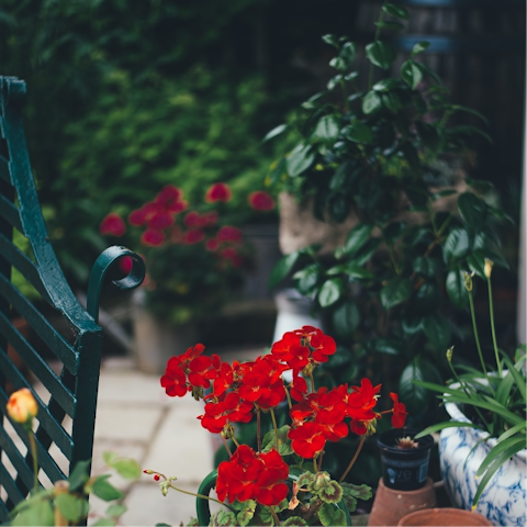 Relax and enjoy alfresco meals in the private garden