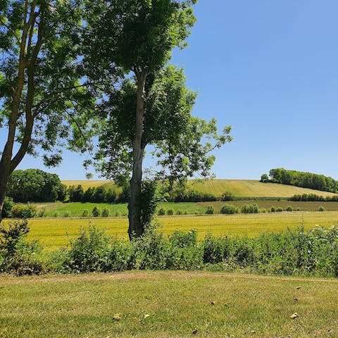 Explore the lush countryside of the Parque Natural Regional de Morvan