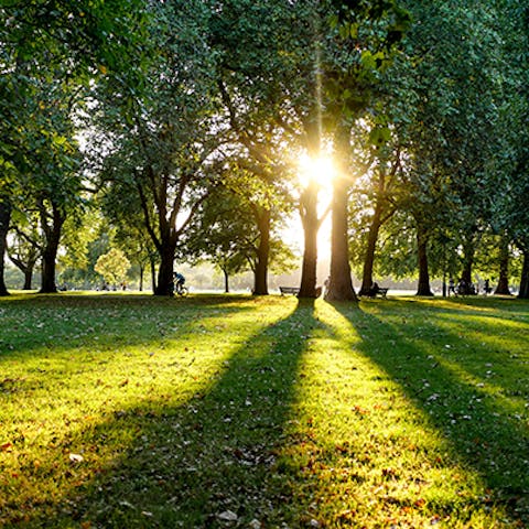 Pack a picnic and pay a visit to nearby Hyde Park