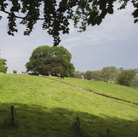 Walk the grounds, basking in the tranquillity of this majestic place