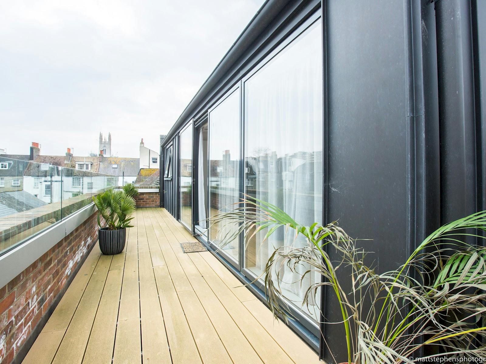 Palm Trees & Pebbles