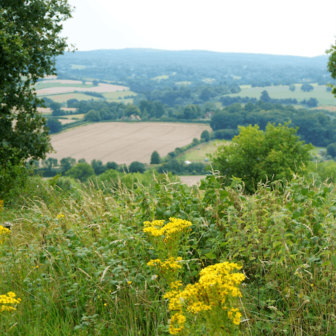 Stay in the quaint village of Claygate – just a thirty-minute train ride away from central London