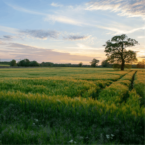 Immerse yourself in the natural beauty of Oxfordshire