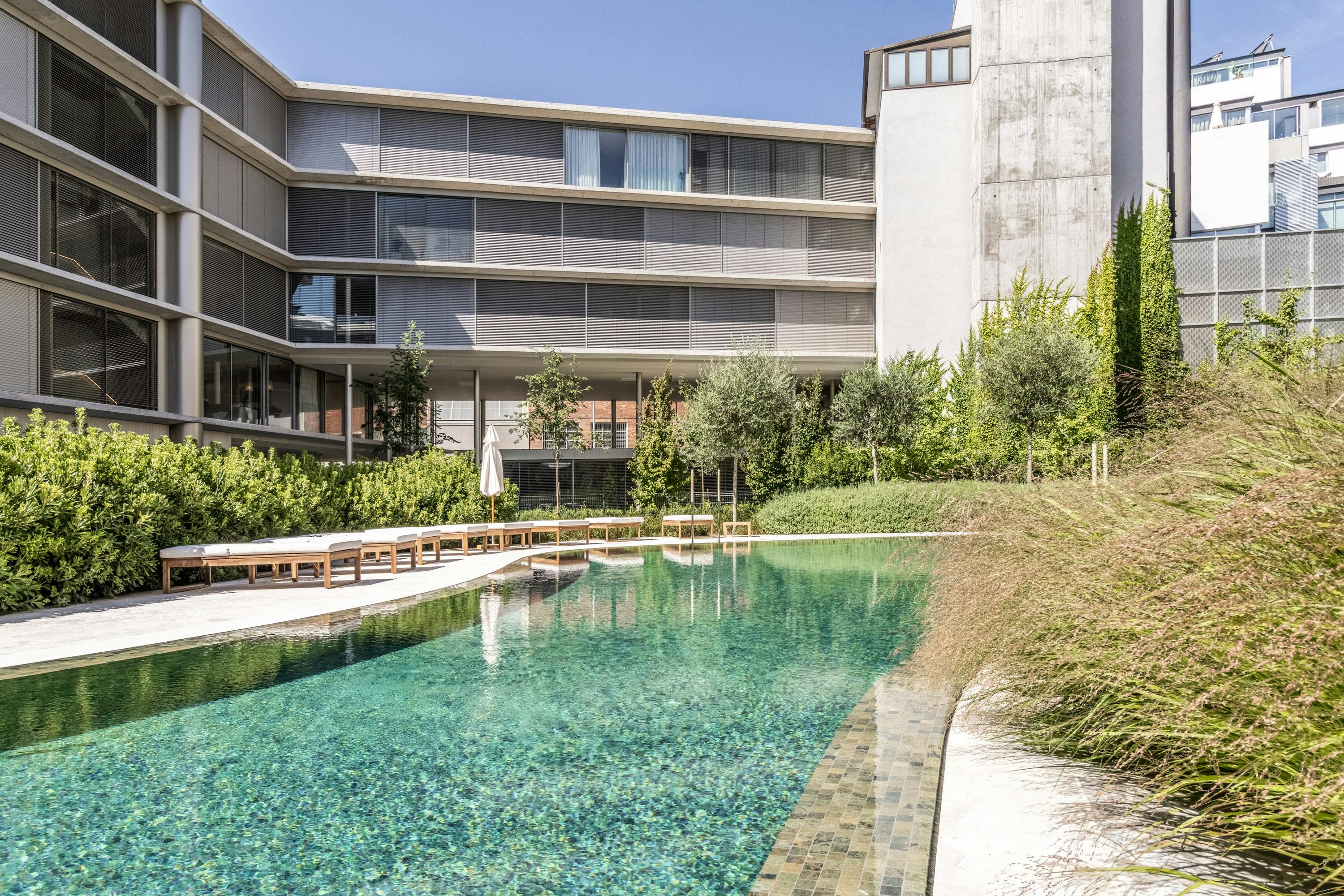 The Light That I Need