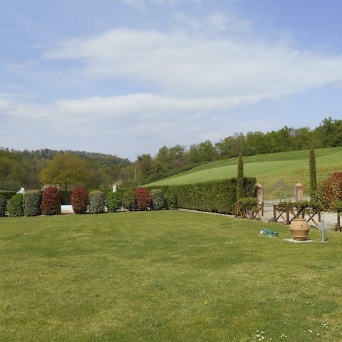 Grab a blanket and read a book on the lawns