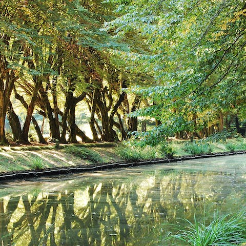 Make the most of the picturesque grounds with daily walks
