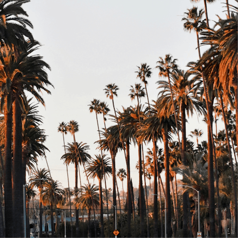 Celebrate life's luxuries with a stay in the heart of Beverly Hills