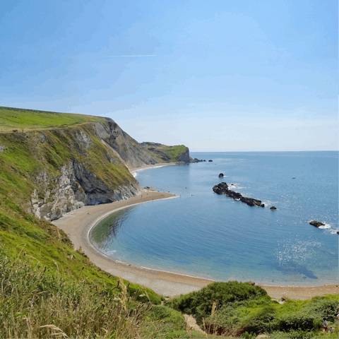 Hunt for fossils with a trip to the Jurrasic Coast