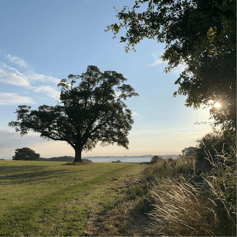 Lace up your walking boots and explore the North Shropshire countryside 