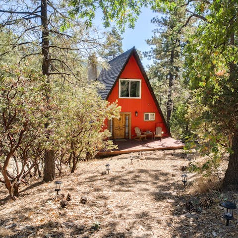 Stay secluded in the pines, five minutes walk from Idyllwild village