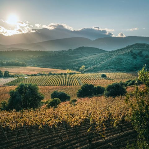 Enjoy waking up to the spectacular sunrise in rural Castelnou