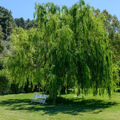 Relax with a cocktail under the shady trees in the residents' garden