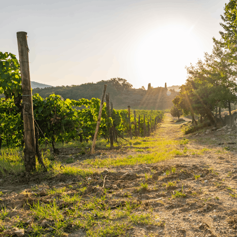 Stay in the Chianti Hills and enjoy the wineries – there's one on your doorstep
