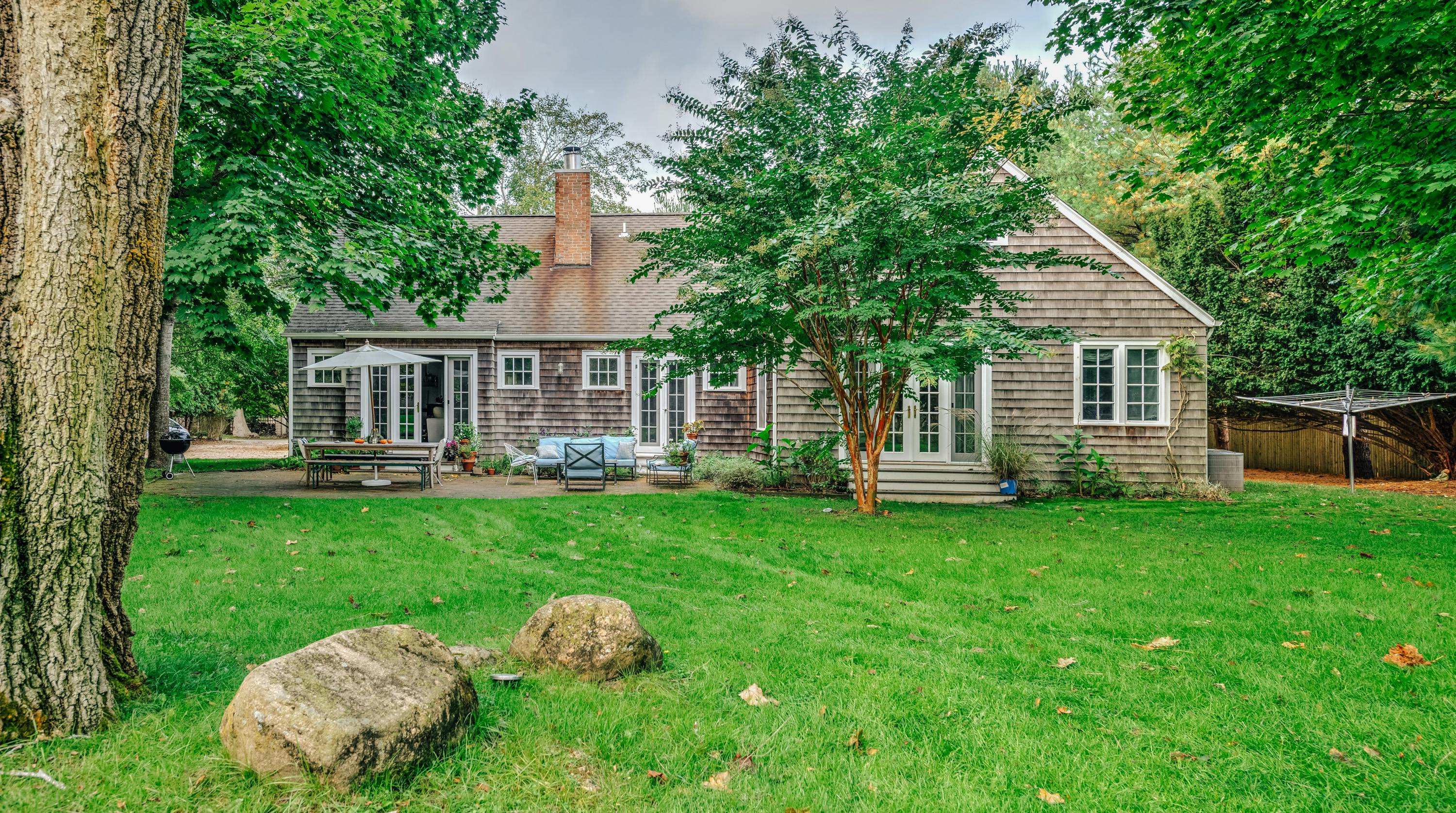 Sunflowers & Wisteria