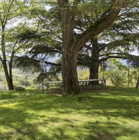 Sit down for an al fresco lunch of antipasto, enjoying the shade and fresh air