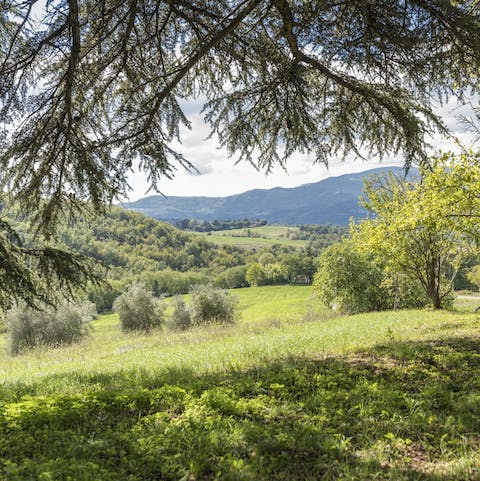 Wander the grounds as you take in the gorgeous green landscape on the horizon