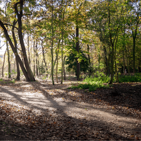 Rent bikes and explore nearby Bois de Boulogne