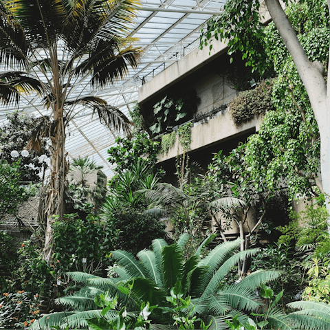 See a show at The Barbican, fifteen minutes on foot