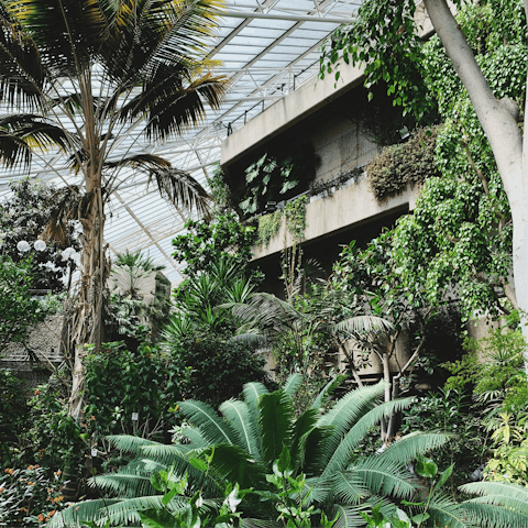 See a show at The Barbican, fifteen minutes on foot