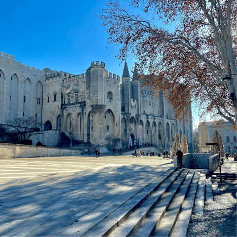 Take a day trip to the medieval city of Avignon, a thirty-minute drive away