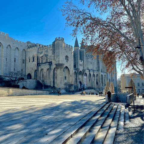 Take a day trip to the medieval city of Avignon, a thirty-minute drive away