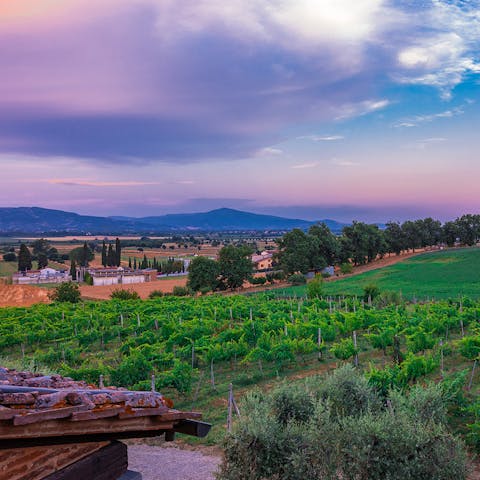 The home is located close to a variety of restaurants, shops, and attractions.