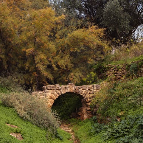 See the ancient ruins in the Valley of the Temples, a short drive away