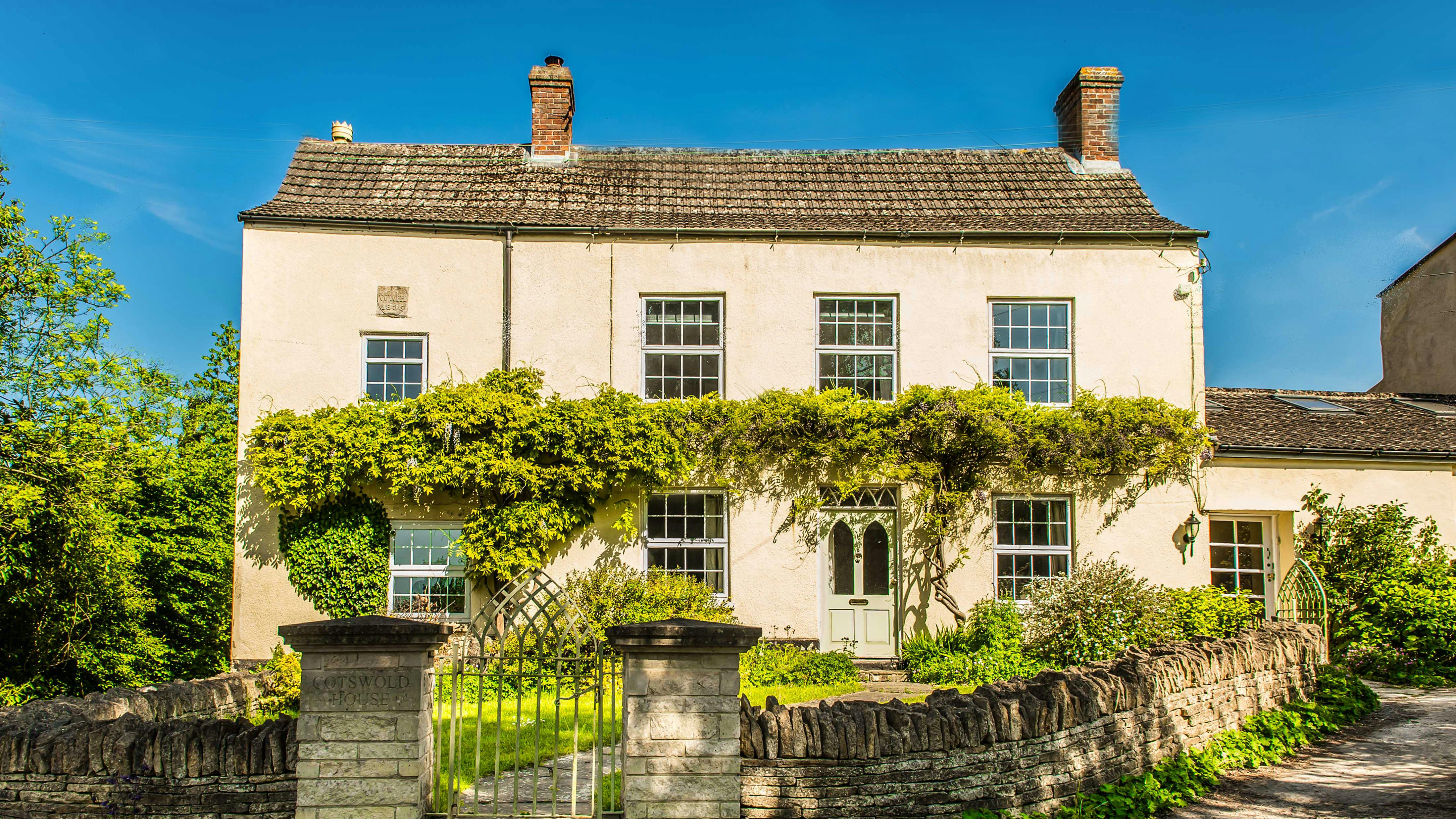 Tea, Flowers & Trees