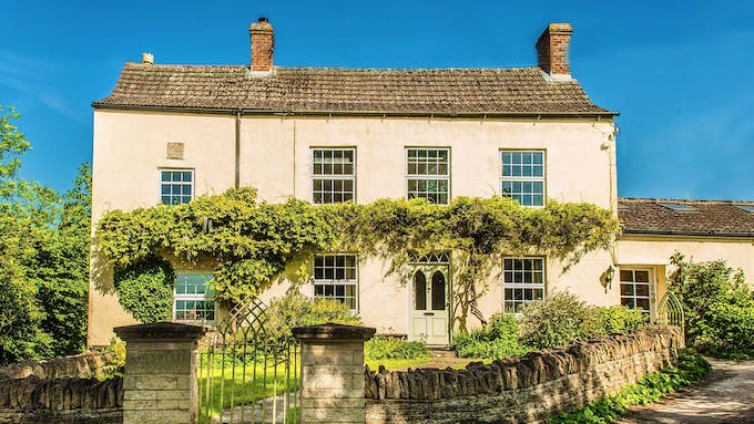 Tea, Flowers & Trees