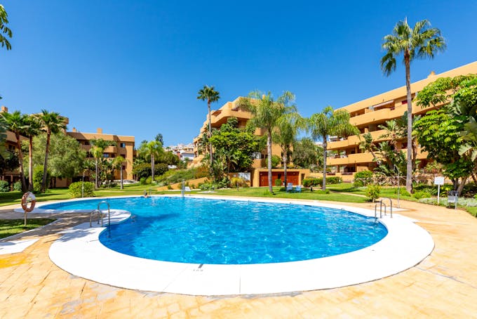 Mijas Marigold