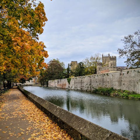 Grab a coffee and stroll around pretty Wells – it's a twenty-minute drive