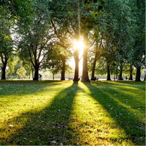 Make jogs around nearby leafy Hyde Park the new routine