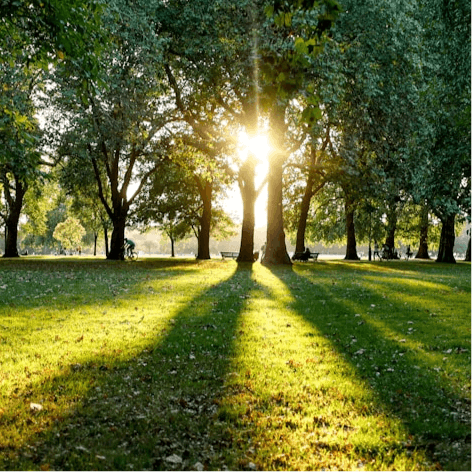 Make jogs around nearby leafy Hyde Park the new routine