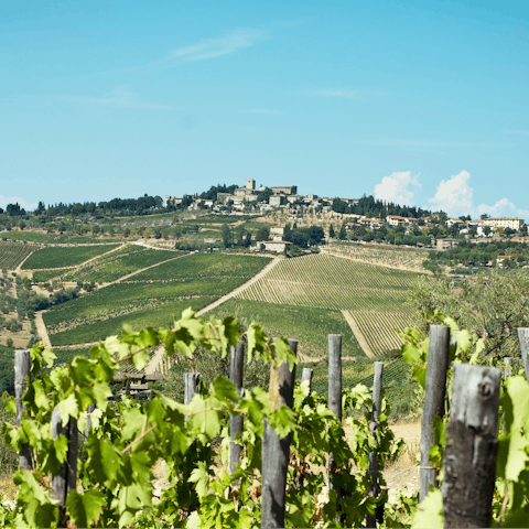 Explore the beautiful hilltop villages and towns of Chianti