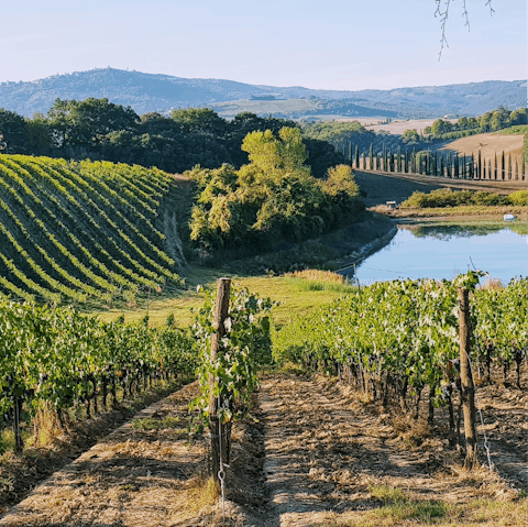 Head to one of Tuscany's many vineyards for a memorable day out like no other